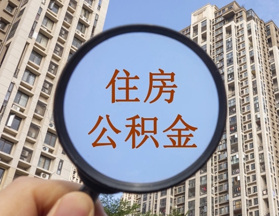 白山退休后查不到公积金明细了吗（退休后公积金查询不到原因）